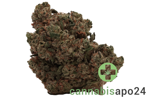 Cannamedical Hybrid classic - Fullgas
