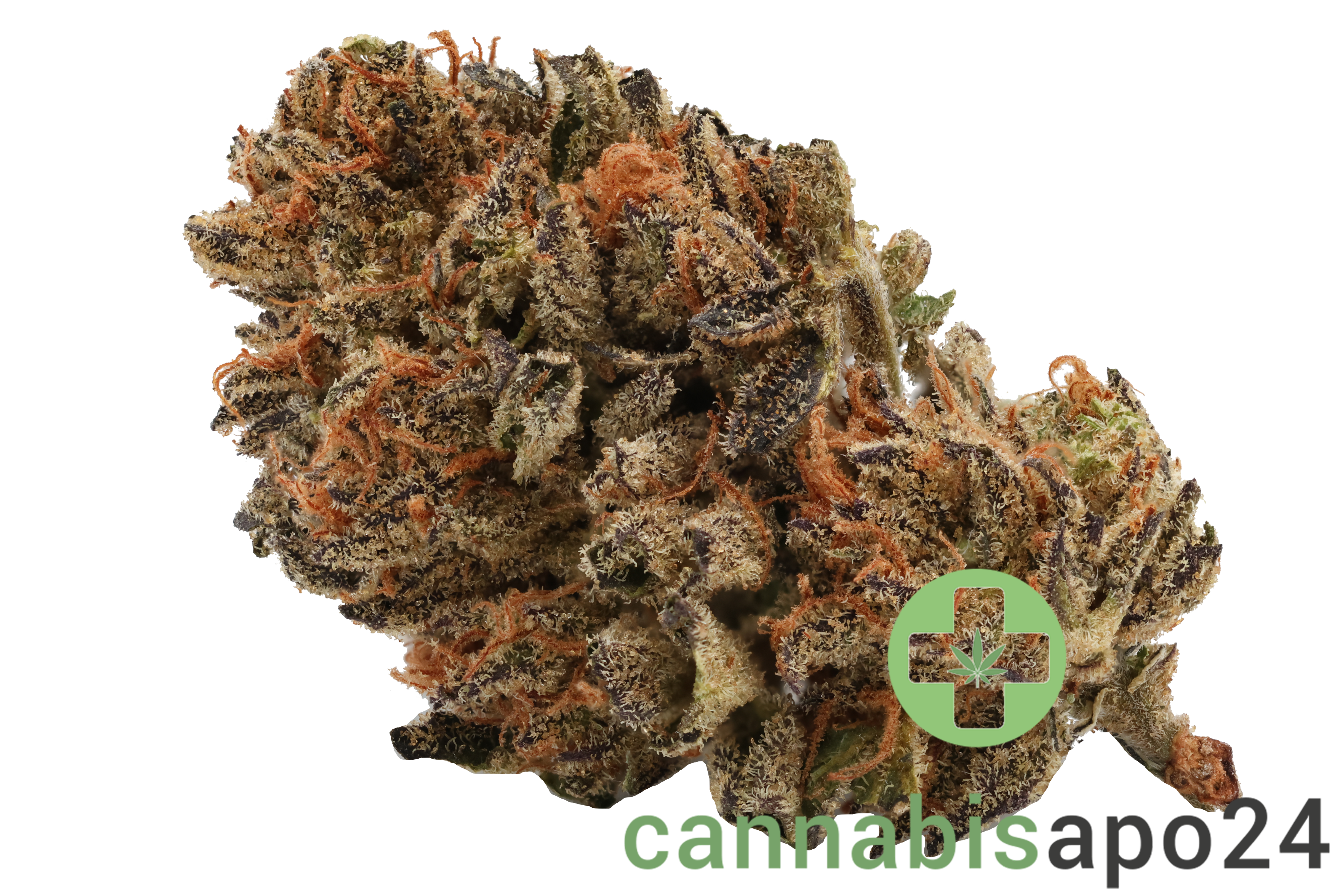 Cannamedical Hybrid Classic NG