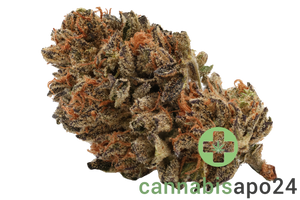Cannamedical Hybrid Classic NG
