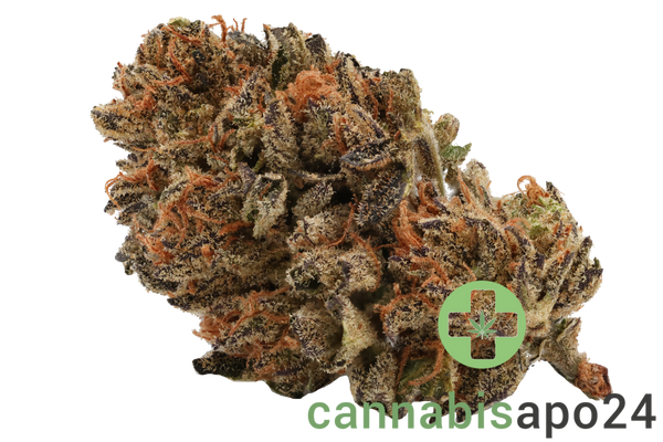 Cannamedical Hybrid Classic NG