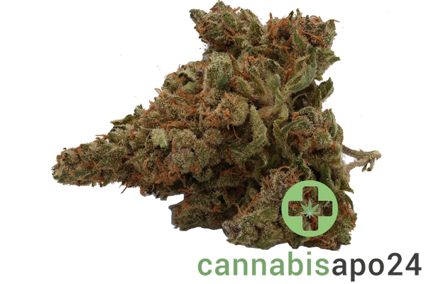 Cannamedical Hybrid forte - DK
