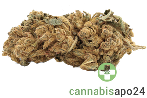 Cannamedical Hybrid classic URY