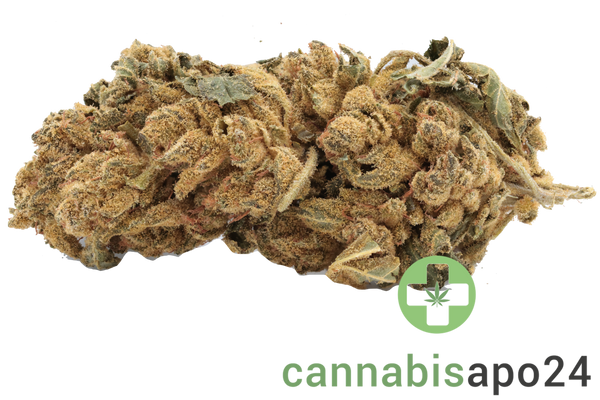 Cannamedical Hybrid classic URY