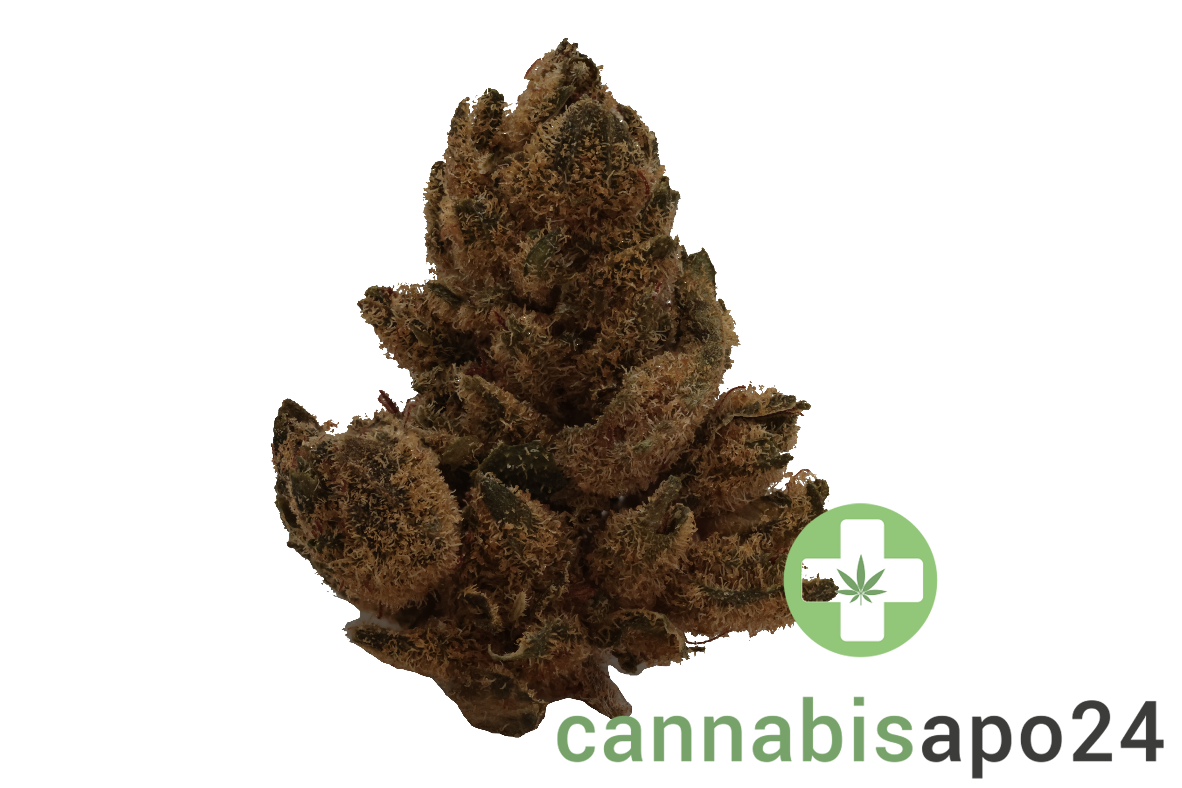 CM Hybrid Light URY White Gorilla