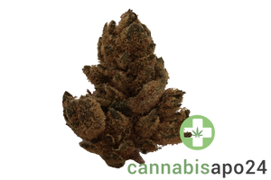 CM Hybrid Light URY White Gorilla