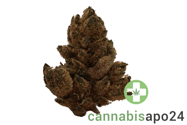 CM Hybrid Light URY White Gorilla