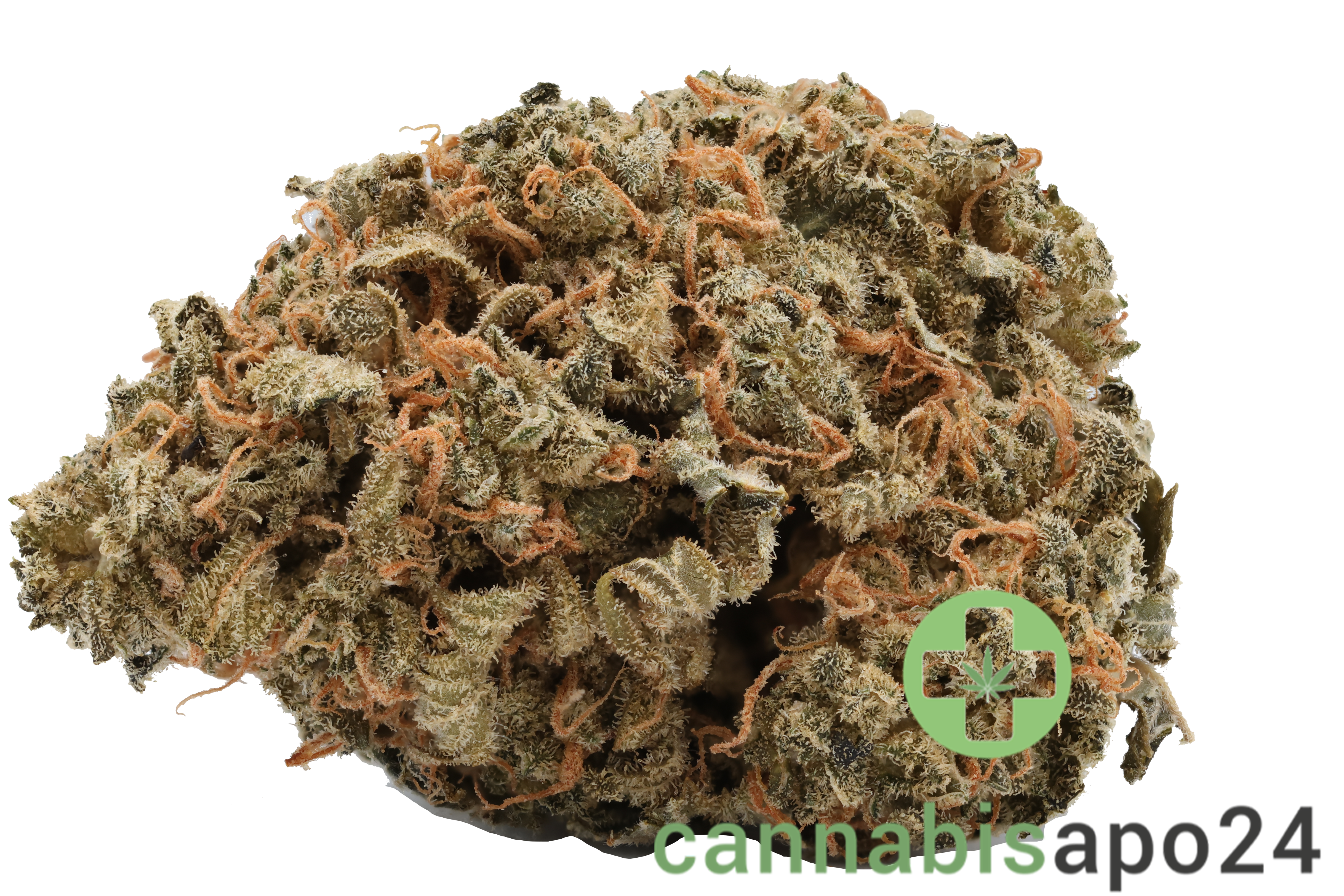 Cannamedical CM Indica light NM