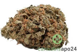 Cannamedical CM Indica light NM