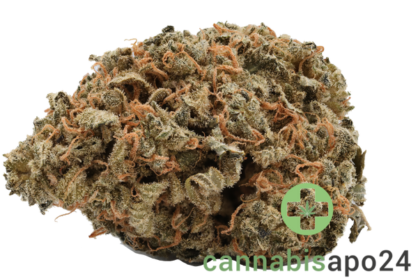 Cannamedical CM Indica light NM