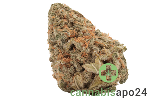 Cannamedical Indica ultra SF