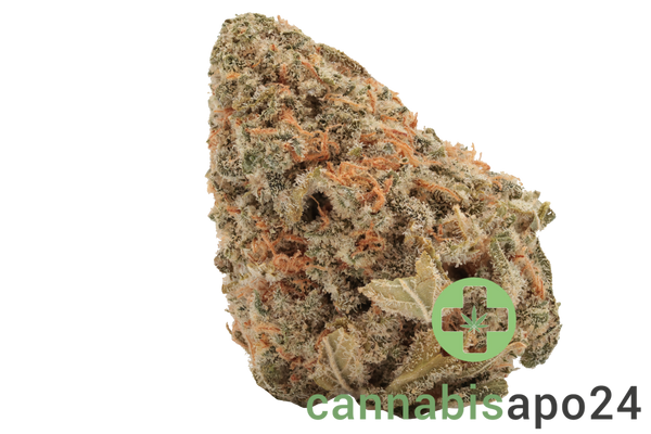 Cannamedical Indica ultra SF