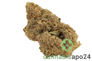 Cannamedical Indica classic URY - Cheese Quake