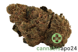 Cannamedical Indica classic URY - Cheddar Skunk
