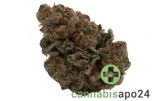 Cannamedical Indica classic ZAF Dank Wafers