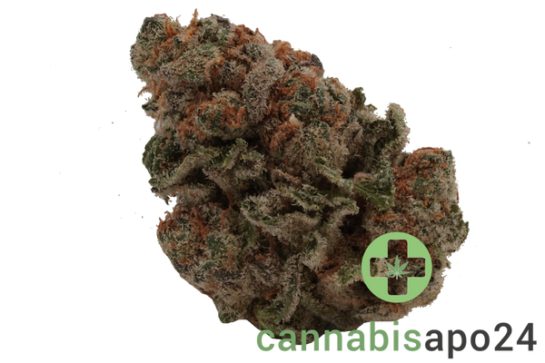 Cannamedical Indica classic ZAF Dank Wafers