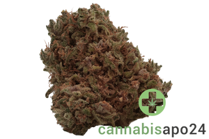 Cannamedical Indica forte DK Gelat Skyfloater