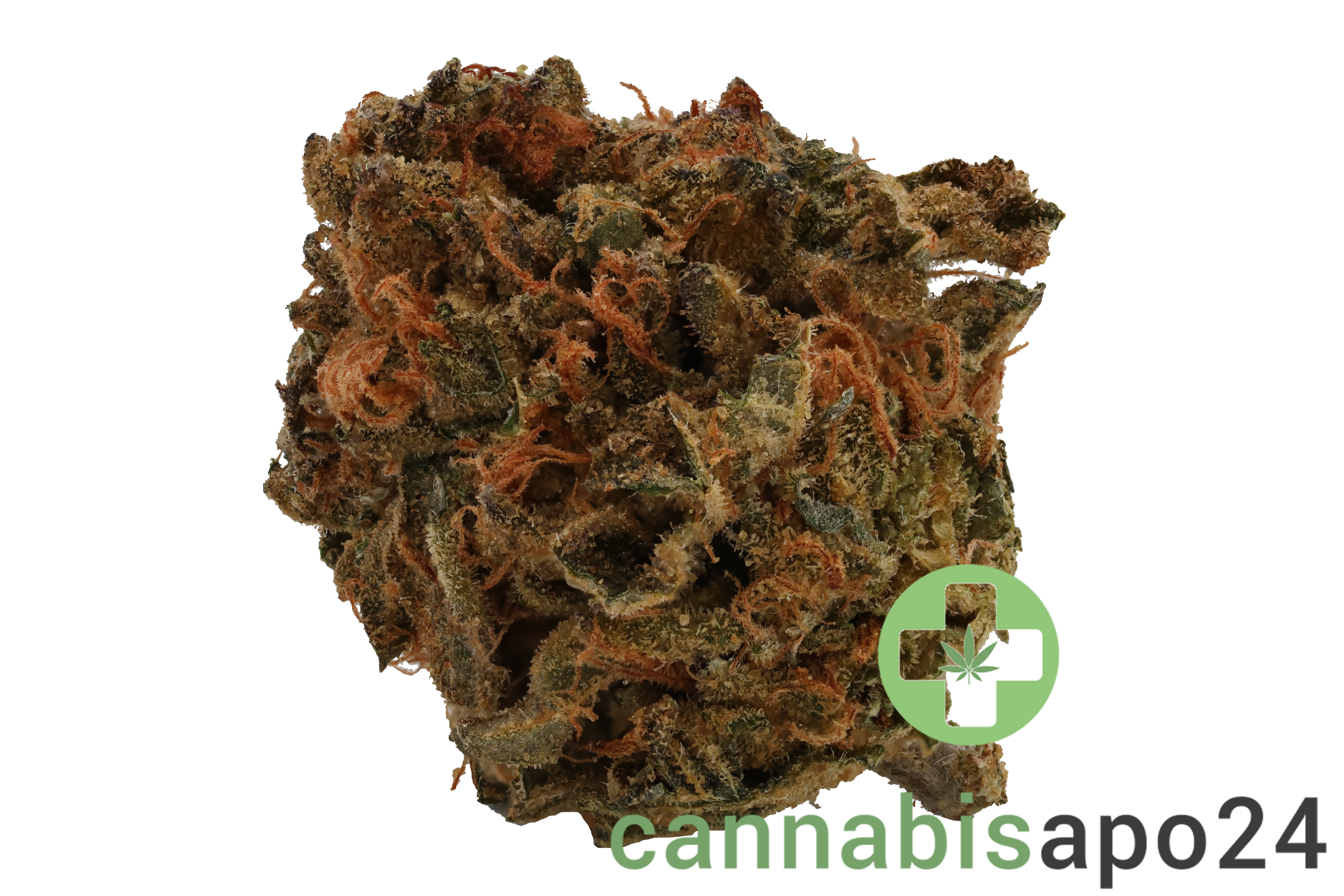 Cannamedical Indica forte MA - Crazy RNTZ
