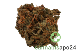 Cannamedical Indica forte MA - Crazy RNTZ