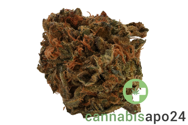Cannamedical Indica forte MA - Crazy RNTZ