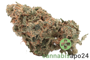Cannamedical Indica forte NM - Kerosene Krash