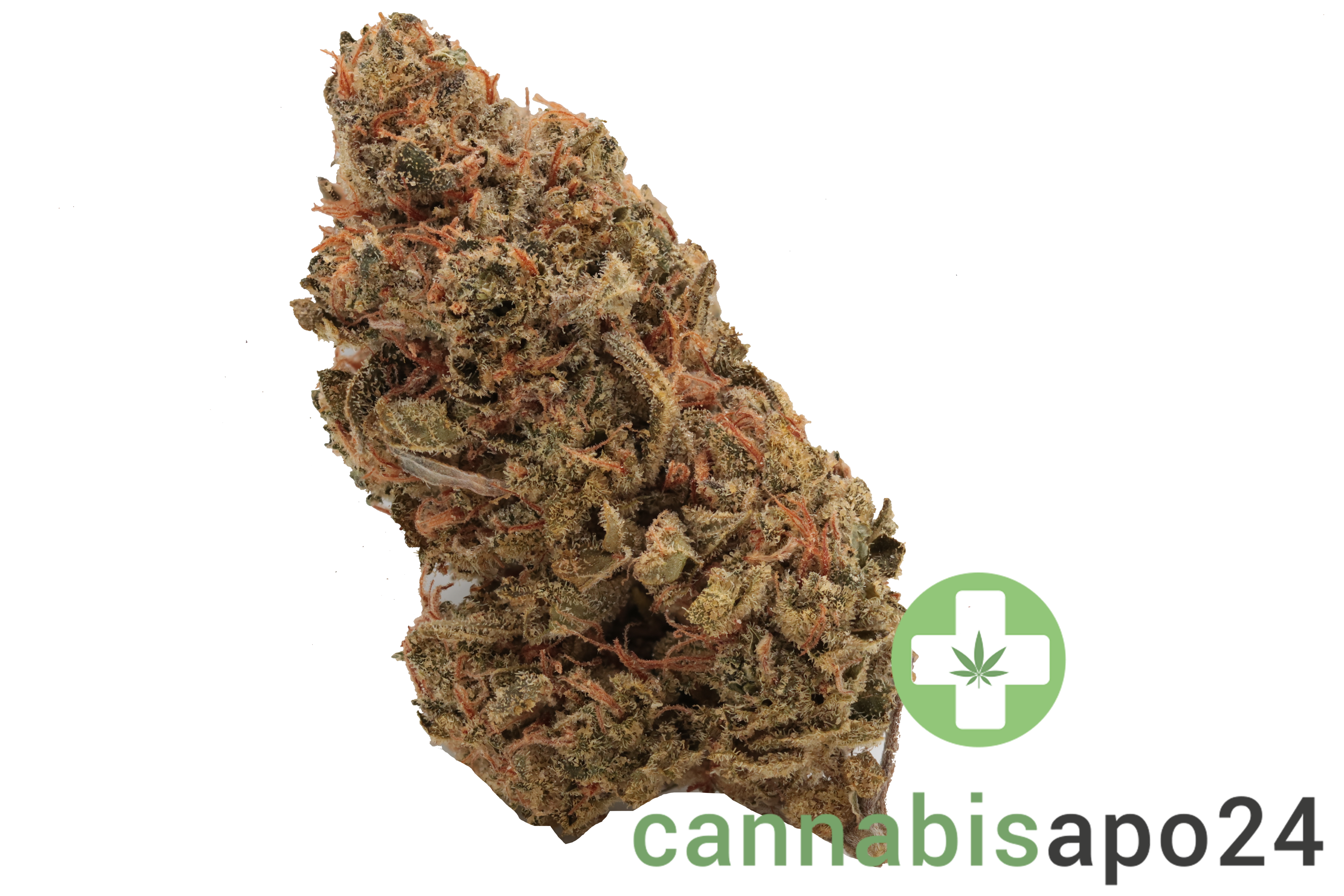 Cannamedical Indica forte NM