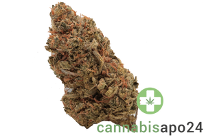 Cannamedical Indica forte NM