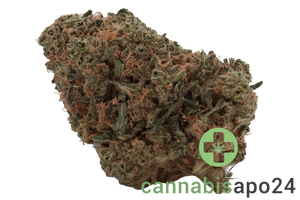 Cannamedical Indica Forte DK - Sky Berry Kush
