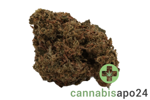 Cannamedical Indica forte URY - Dawg Bud Fusion