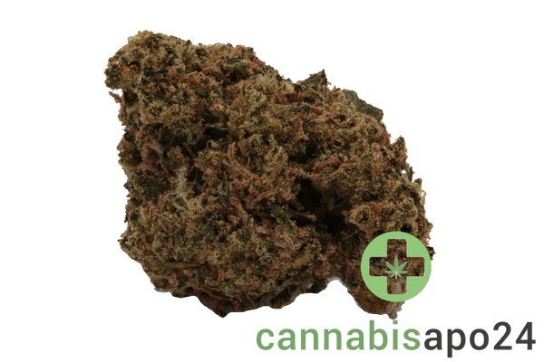 Cannamedical Indica forte URY - Dawg Bud Fusion