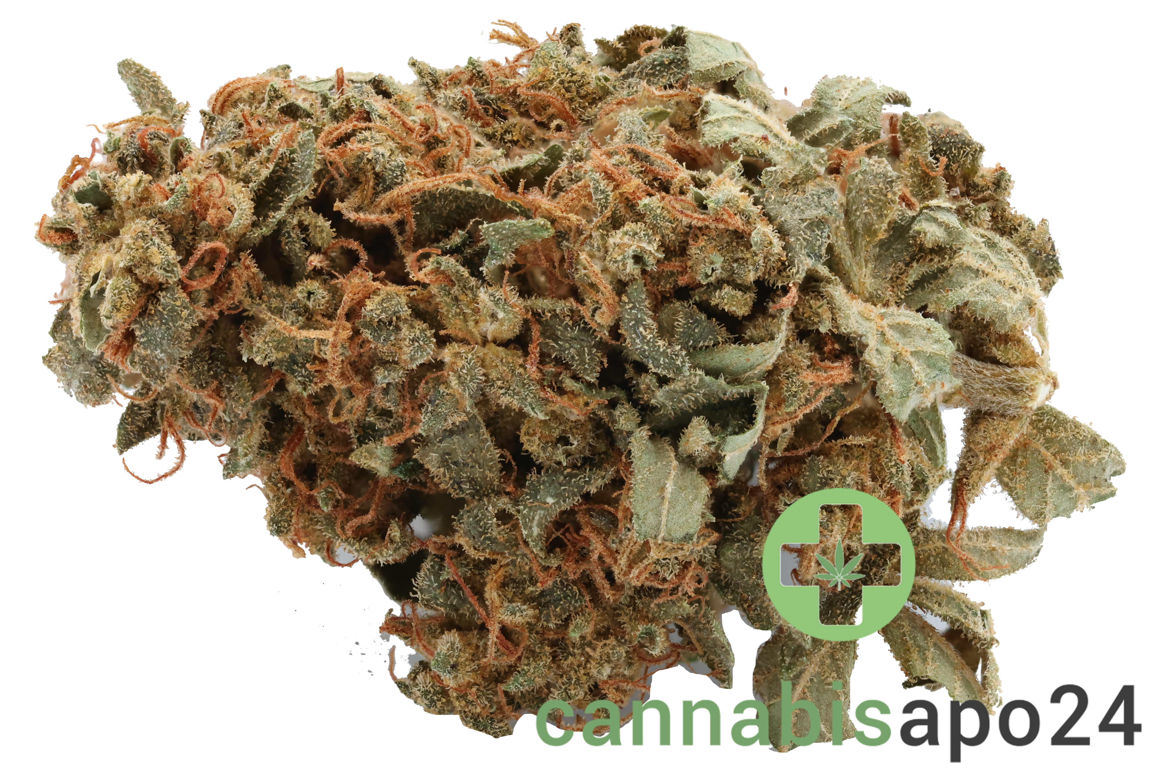 Cannamedical Sativa classic - Ghost Train Haze