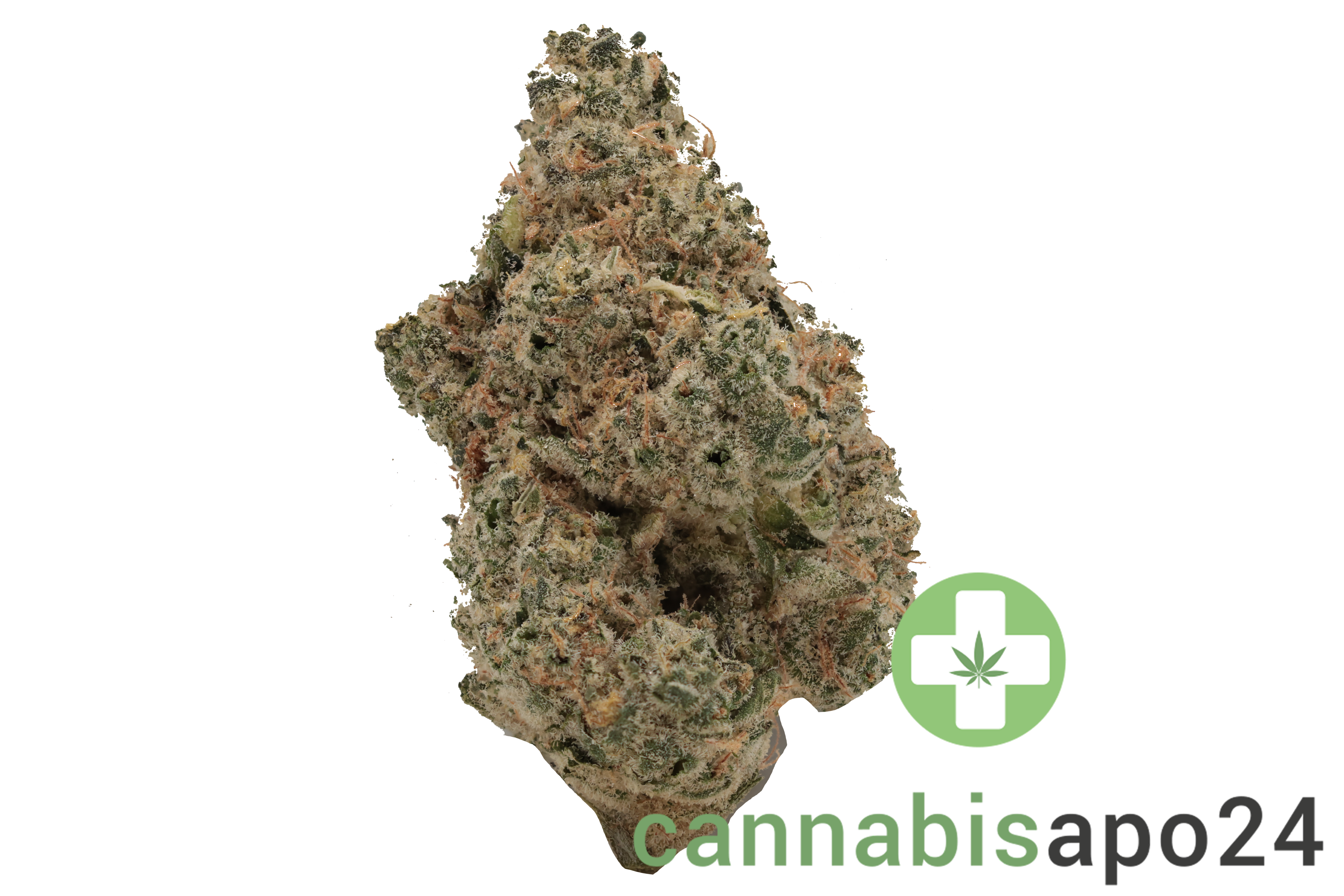 Cannamedical Sativa Ultra NM - Polar Cookies