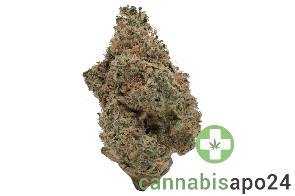 Cannamedical Sativa Ultra NM - Polar Cookies