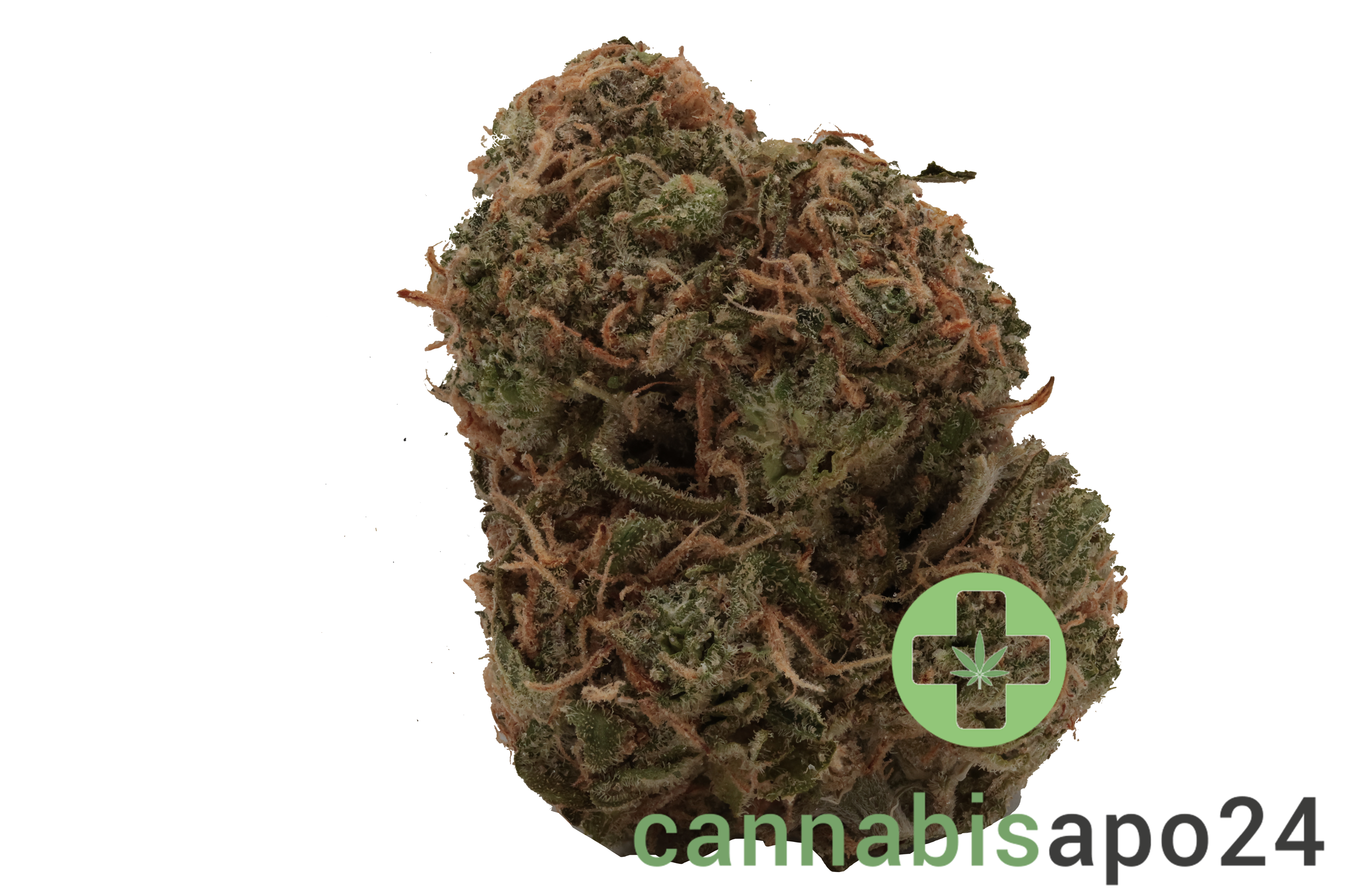 Cannamedical Sativa classic NM - Gelato Dream