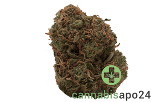 Cannamedical Sativa classic NM - Gelato Dream