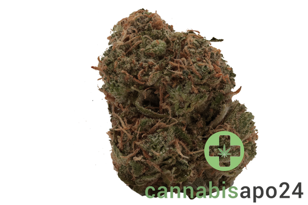 Cannamedical Sativa classic NM - Gelato Dream