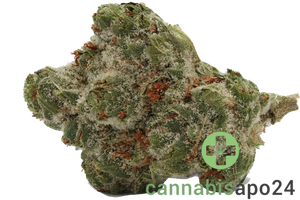 Cannamedical Sativa forte Duke
