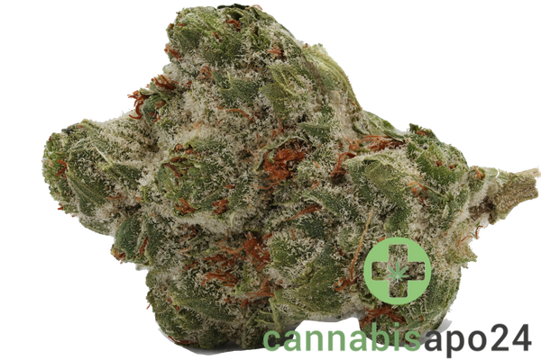 Cannamedical Sativa forte Duke