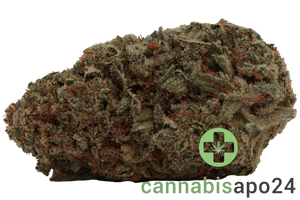 Cannamedical Sativa ultra ES Nova