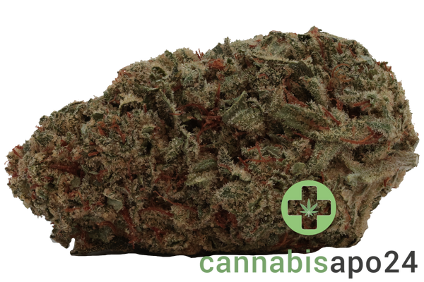 Cannamedical Sativa ultra ES Nova