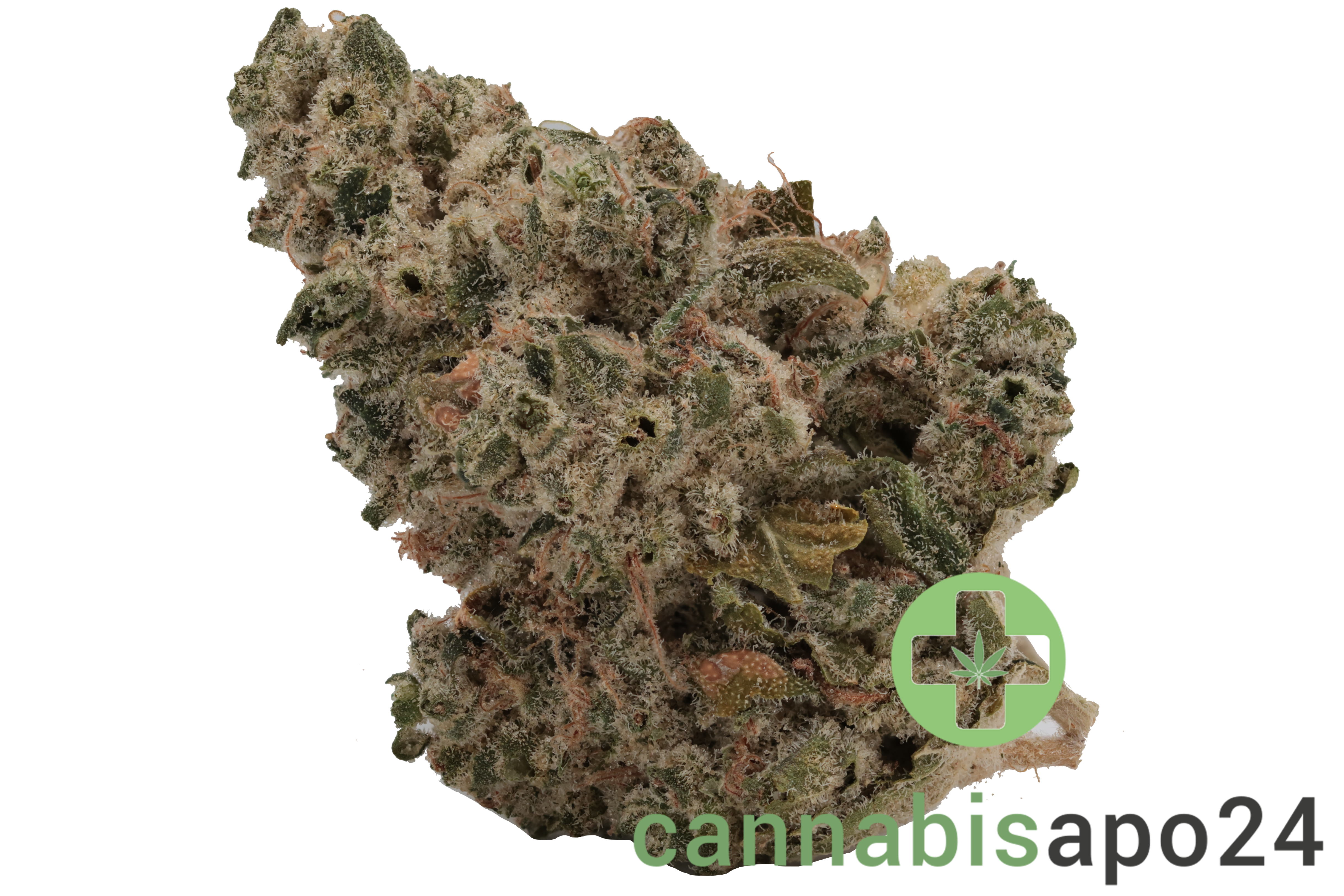 CNBS FK 30/1 Florida Kush