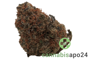 CAN Hydro PPC 21/1 - Purple Punch Cookies