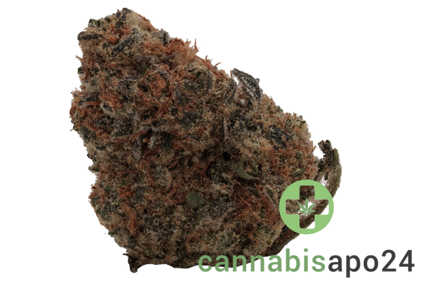 CAN Hydro PPC 21/1 - Purple Punch Cookies