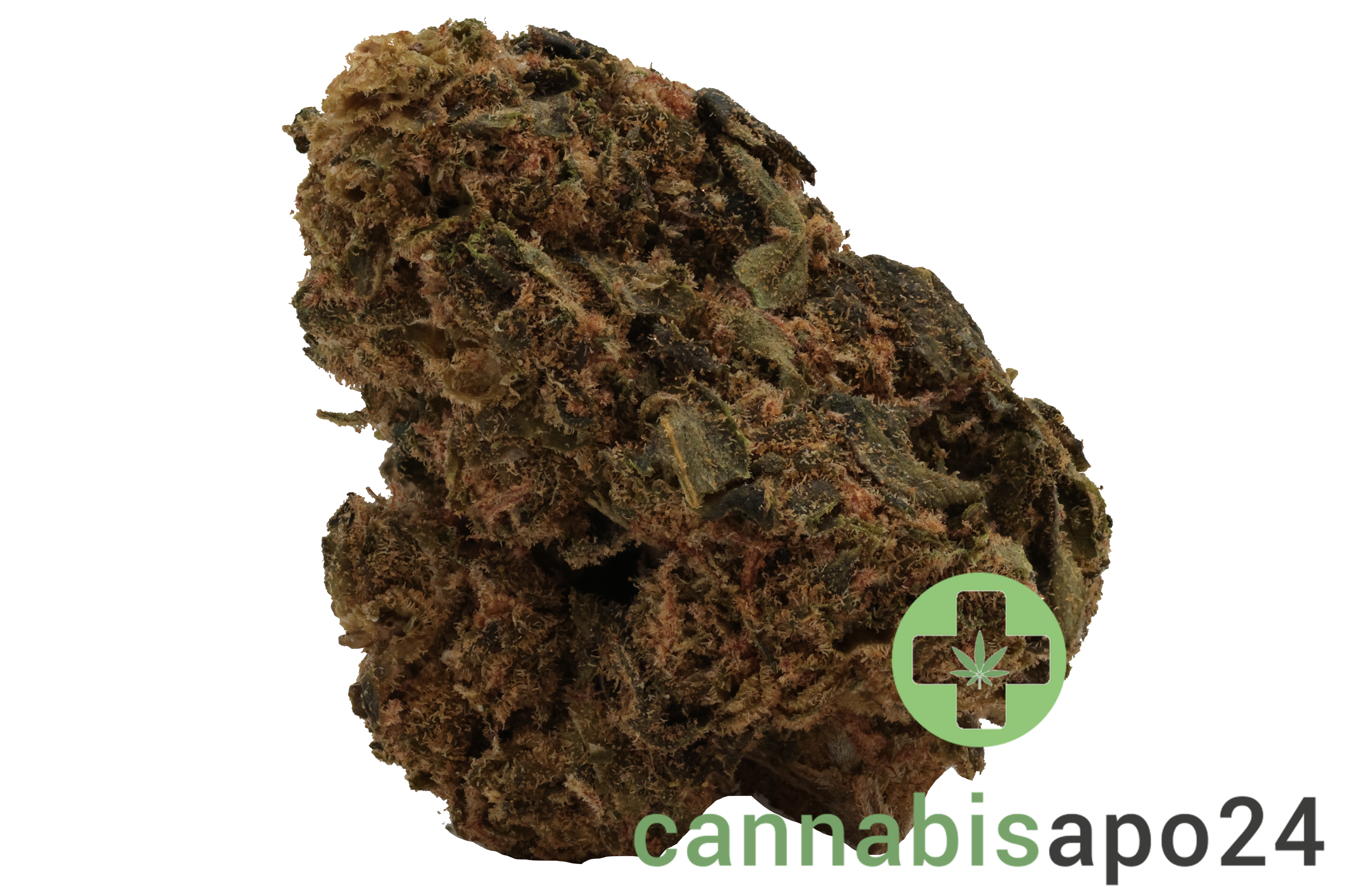 Canify Flos 18/1 UY - Big Buddah