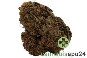 Canify Flos 18/1 UY - Big Buddah
