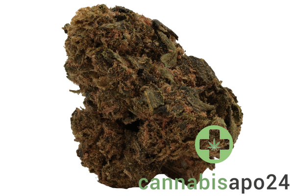 Canify Flos 18/1 UY - Big Buddah