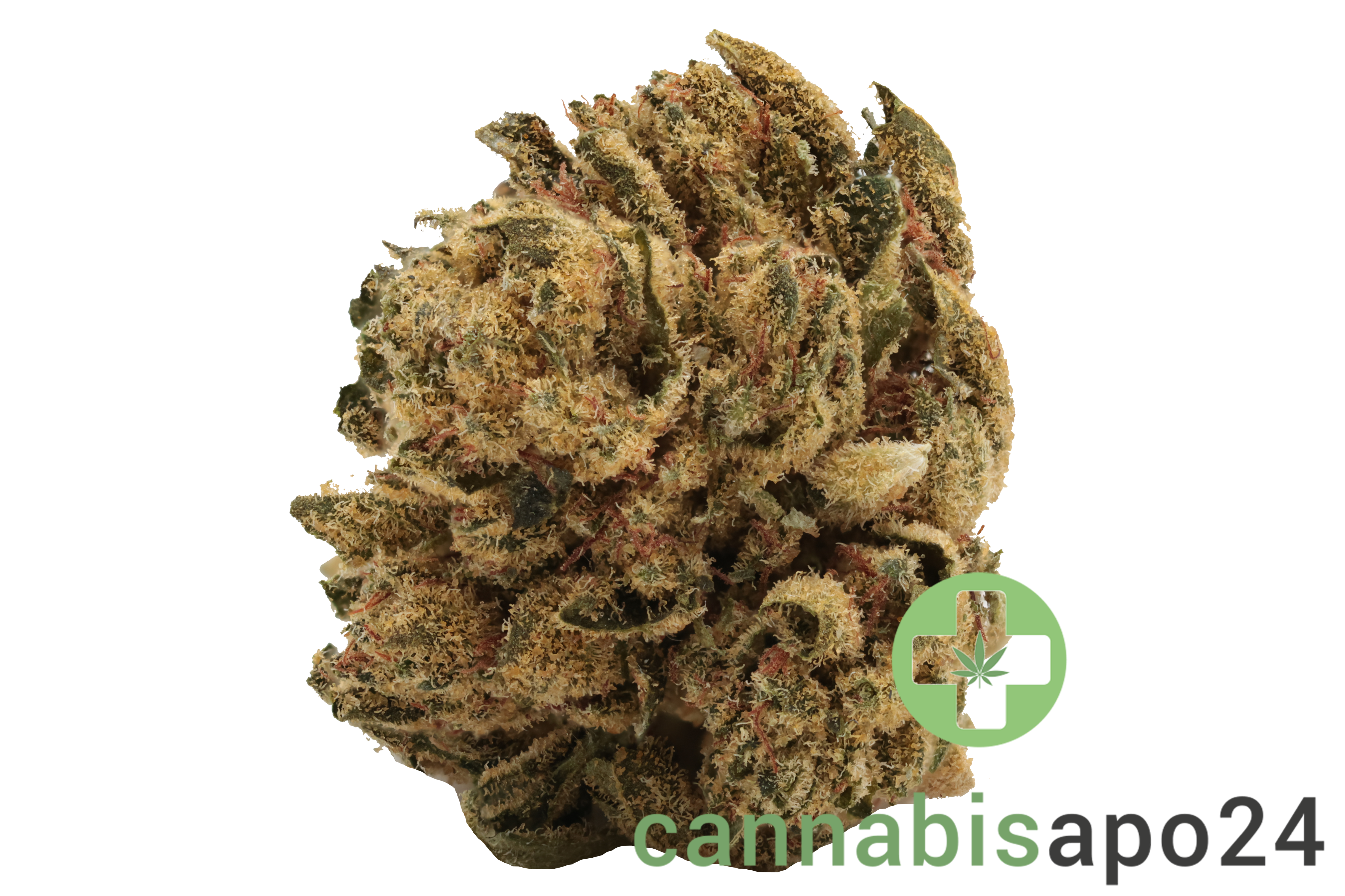 Canify Flos 18/1 UY GG - Gorilla Glue