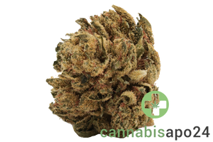 Canify Flos 18/1 UY GG - Gorilla Glue