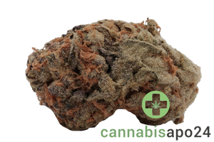 Canify 21/1 PRT Ku. Black Cherry Pie