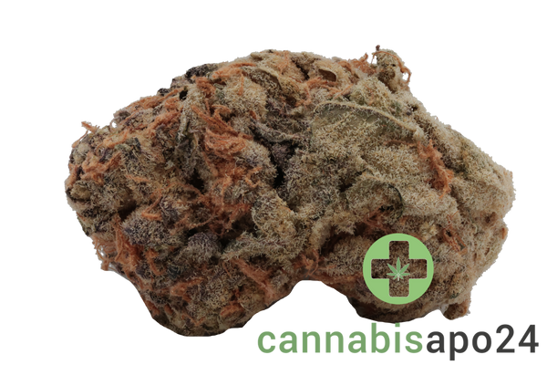 Canify 21/1 PRT Ku. Black Cherry Pie