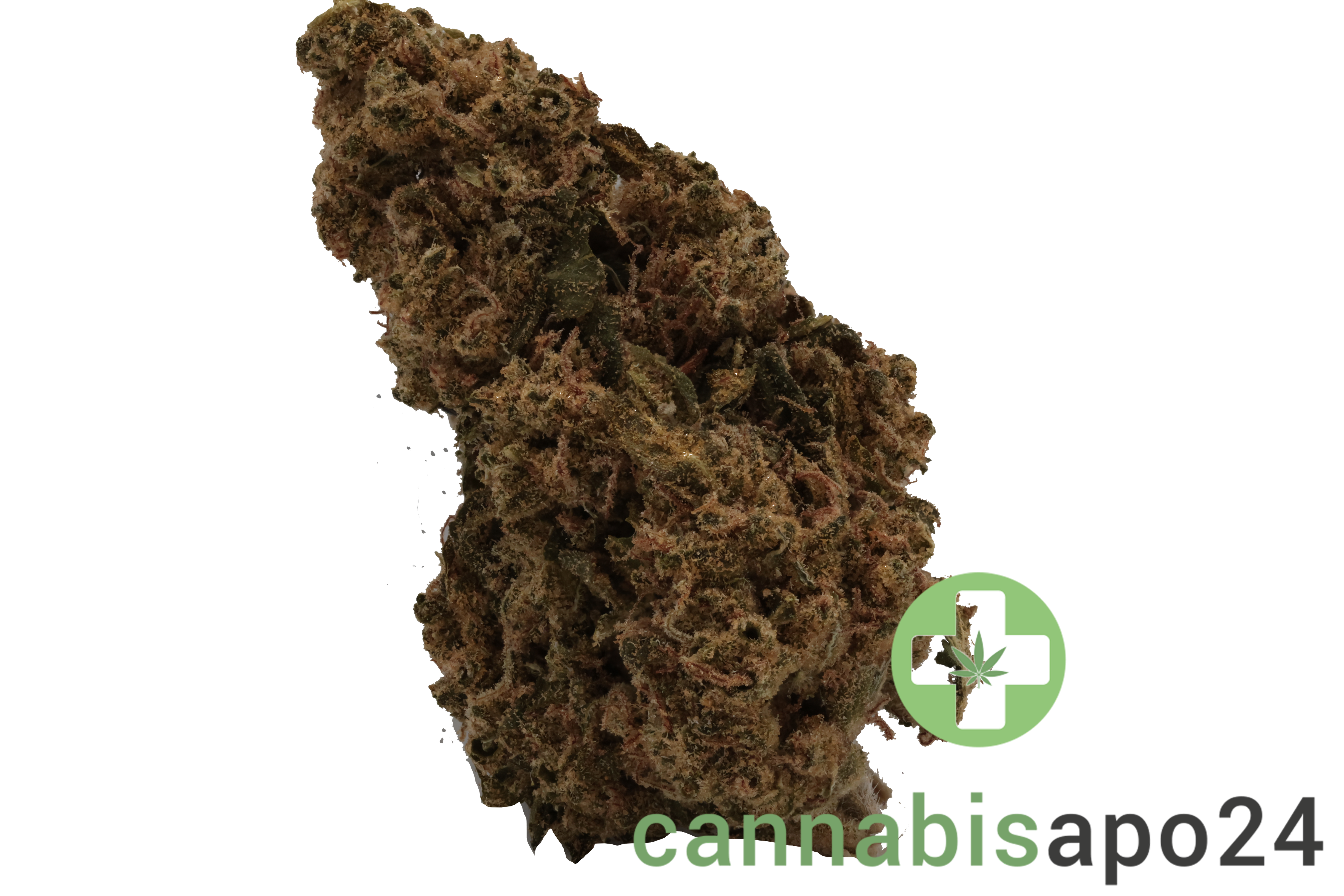 Canify Flos 22/1 UY PDB - Purple Dog Bud